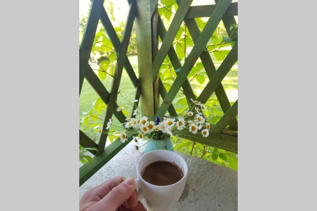 Guest House Pinus Generalski Stol Ngoại thất bức ảnh